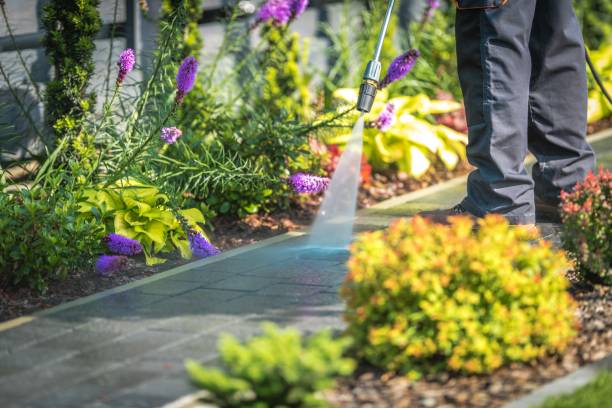 Professional  Pressure Washing Services in Elizabethtown, PA